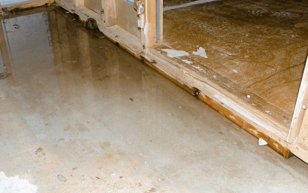 Mitigating Further Damage After Natural Disasters in Wylie
