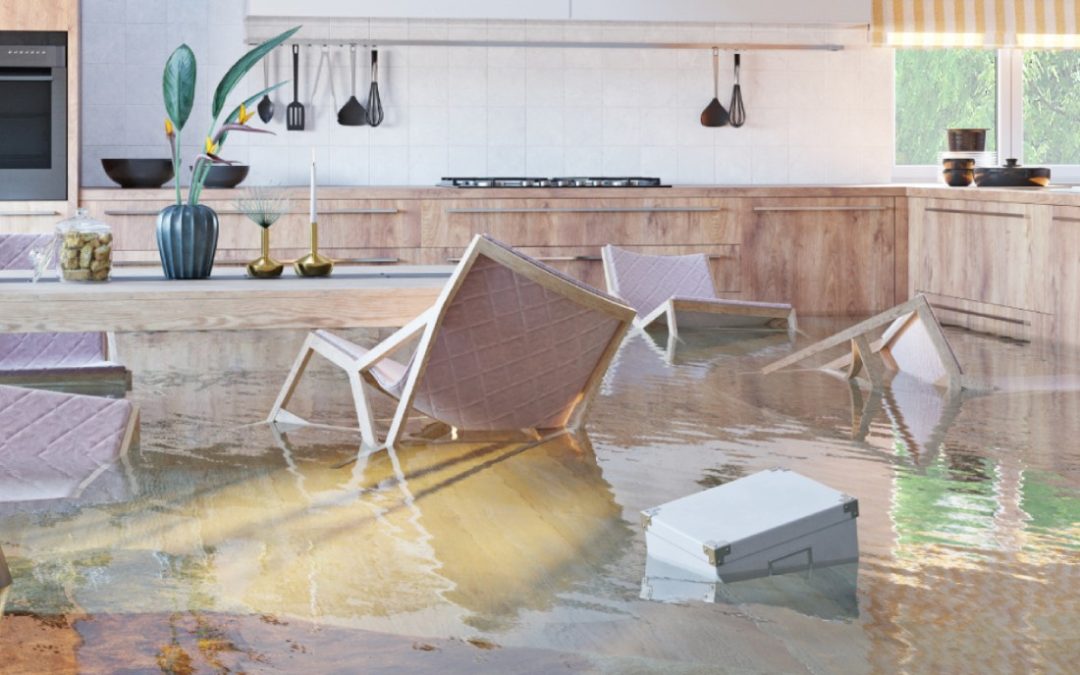 Emergency Guide to Flooded House Cleanup